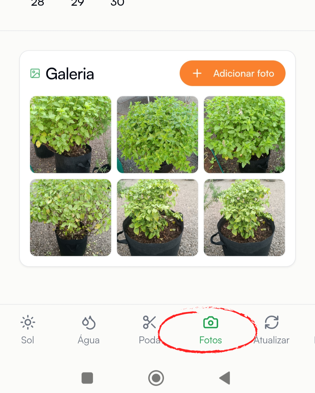 Mockup do app mostrando a galeria de fotos